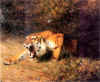 06_petit.JPG (2283 octets)