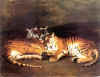 10_petit.JPG (2068 octets)