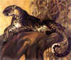 12_petit.JPG (2572 octets)