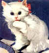 14_petit.JPG (2817 octets)