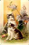 15_petit.JPG (3716 octets)