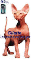 7.jpg (39782 octets)