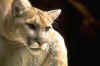 6006.JPG (14627 octets)