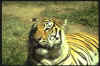BIG053.JPG (21708 octets)