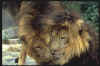 Big031.jpg (16456 octets)