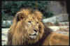 Big039.jpg (15502 octets)