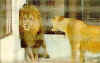 Image28.jpg (68487 octets)