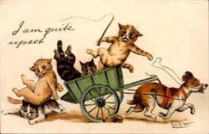11.JPG (14556 octets)