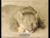 r01.jpg (20079 octets)