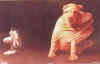 ventihond.jpg (19645 octets)