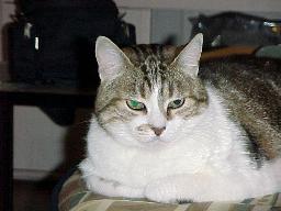 bj_1999.JPG (9598 octets)